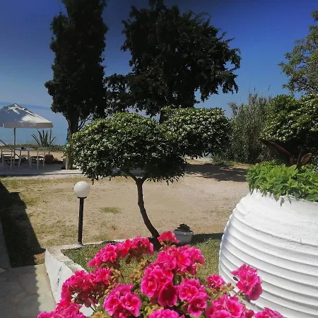 アパート Porto Almira Beachfront *